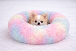 Cama para Mascotas Arcoiris tamaño XS - Imagen 2