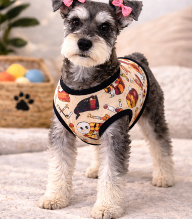 camiseta-verano-mascotas