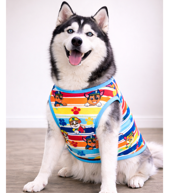 Camiseta-Verano-Mascotas-Paw-patrol-2xL-Costa-Rica ropa-perro-2xl