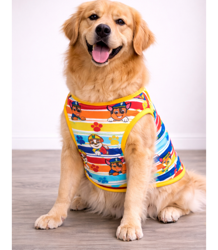 Camiseta-Verano-Mascotas-Paw-patrol-3xL-Costa-Rica ropa-perro-grande-costa-rica
