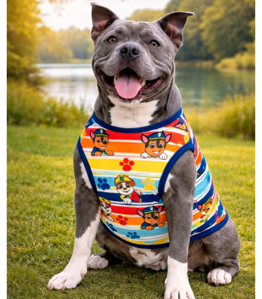 Camiseta de verano para mascotas diseño PawPatrol talla XL