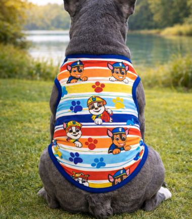 Camiseta-Verano-Mascotas-Paw-patrol-xl-g-Costa-Rica