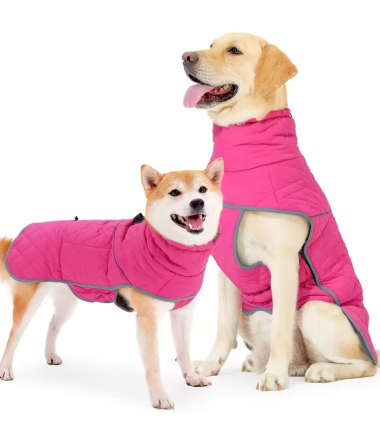 Chaleco-perro-Costa-Rica