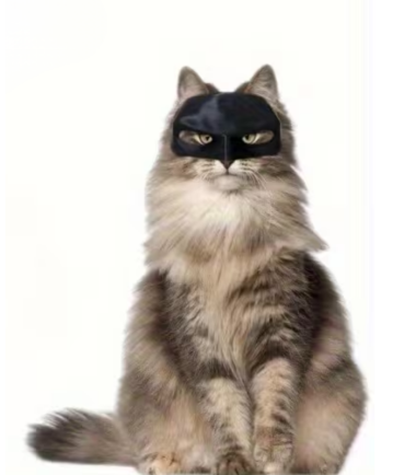 Máscara de Batman para Gato