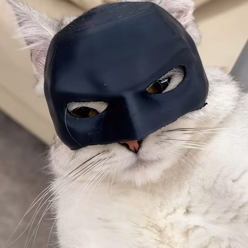 Mascara-Batman-Gato-gg-Costa-Rica