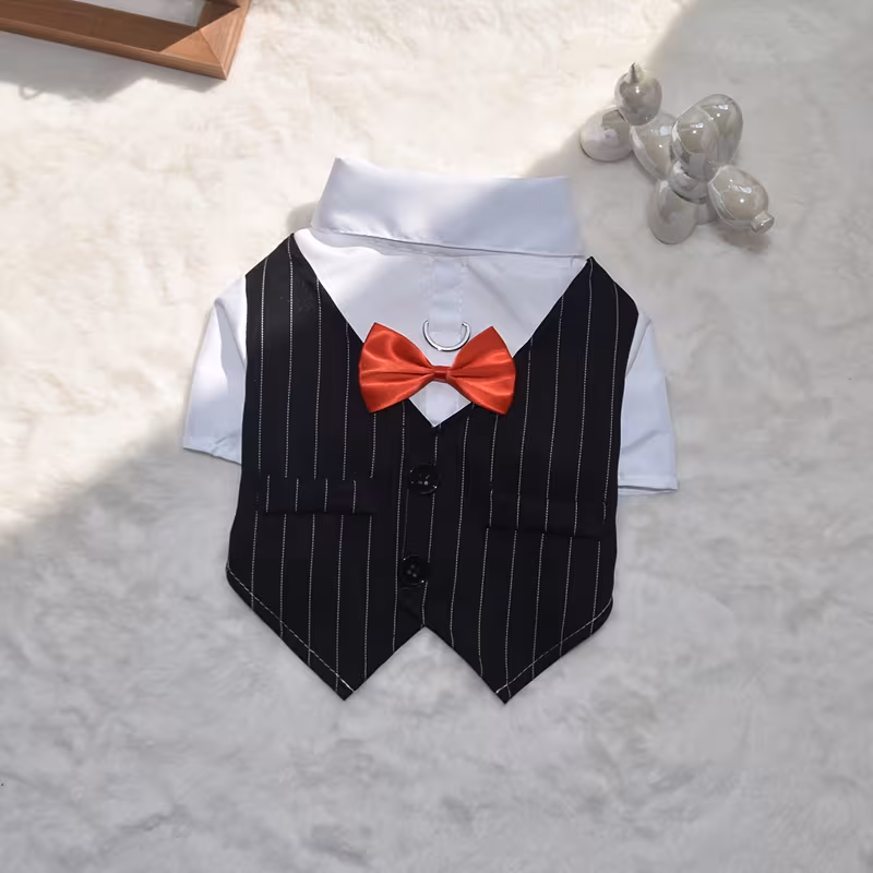 Smoking-Perro-S-gg-Costa-Rica