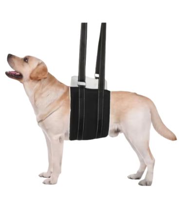 Soporte de Movilidad para perro talla M-L