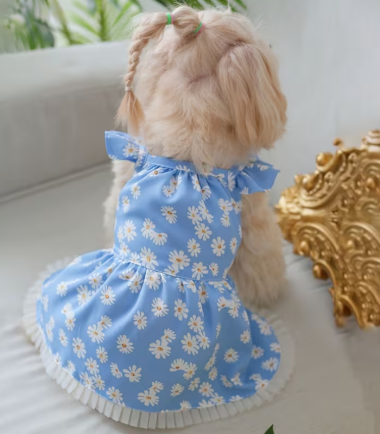 Vestido de Verano Celeste para Perro, Talla S