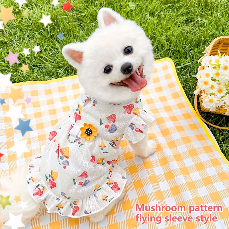 Vestido-elegante-para-mascotas-costa-rica