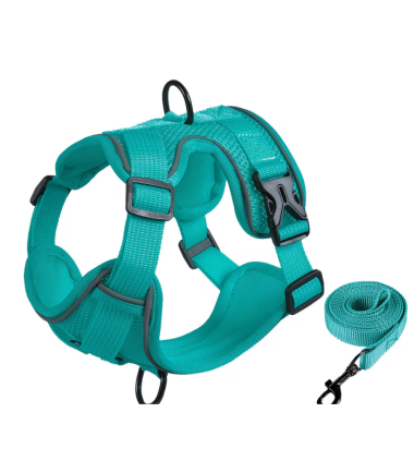 pechera-correa-perros-costa-rica