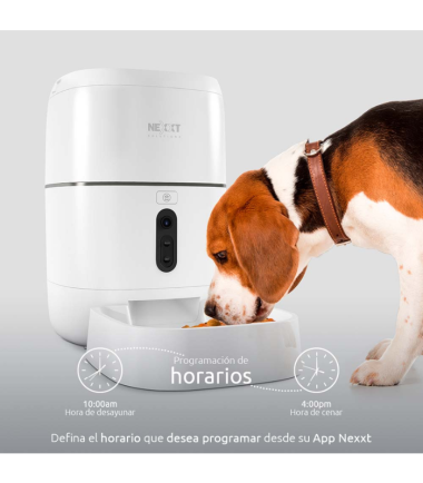 comedero-inteligente-perros-gatos-costa-rica