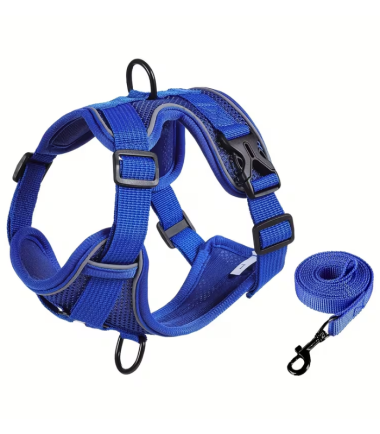 Arnés y Correa Talla XS color azul