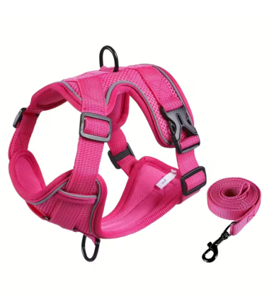 Arnés y Correa Talla XS color rosado