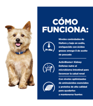 hills-prescription-kidney-care-perros-costa-rica