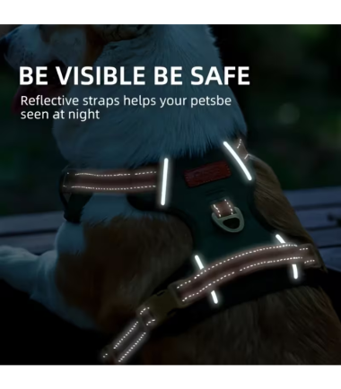 pechera-reflectante-perros-costa-rica