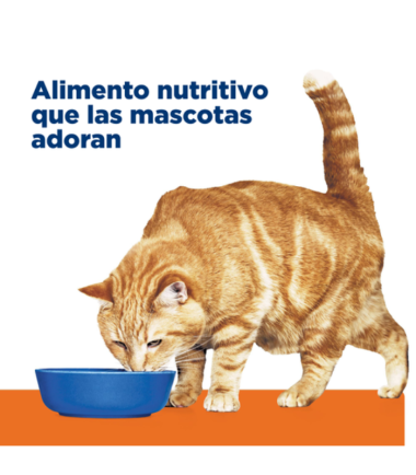 alimento-lata-hills-urinary-gato-costa-rica