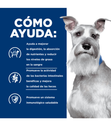 Alimento-húmedo-hills-cuidado-digestivo-costa-rica