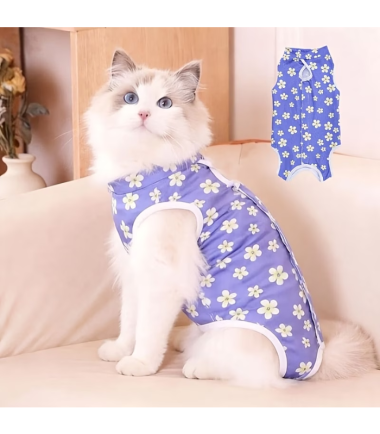 traje-post-operatorio-gatos-costa-rica