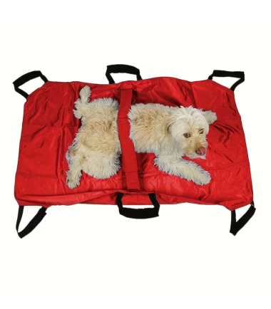 asiento-transportadora-mascotas-costa-rica