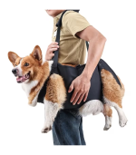 arnes-movilidad-perros-costa-rica