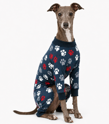 Pijama-larga-perro-talla-xl-azul2-costa-rica pijama-mascota-costa-rica