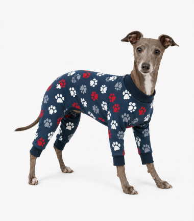 Pijama-larga-perro-talla-xl-azul3-costa-rica