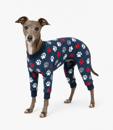 pijama-mascota-costa-rica