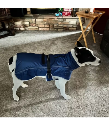 chaleco-impermeable-perros-costa-rica