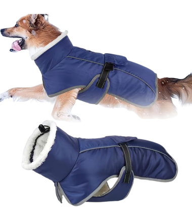 chaleco-impermeable-perros-costa-rica