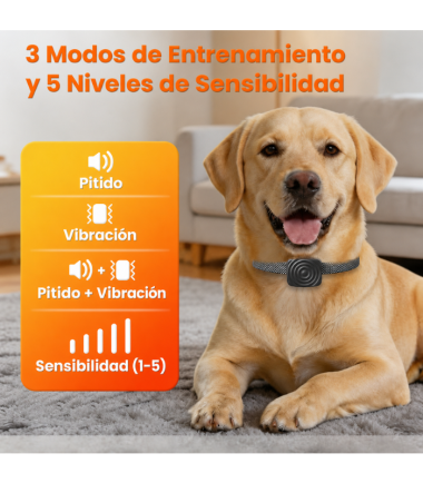 collar-anti-ladridos-perros-costa-rica dispositivo-anti-ladridos-perros-costa-rica