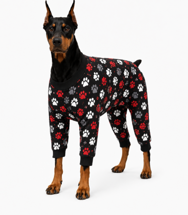 pijama-perro-costa-rica