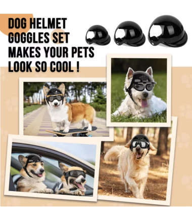 casco-de-protección-ajustable-perros-costa-rica casco-de-moto-perros-costa-rica