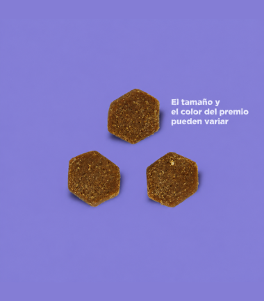Treats-nutrisource-grain-free-little-bites-costa-rica Premios-nutrisource-libre-granos-perros-costa-rica