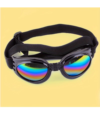 gafas-de-sol-para-perros-costa-rica