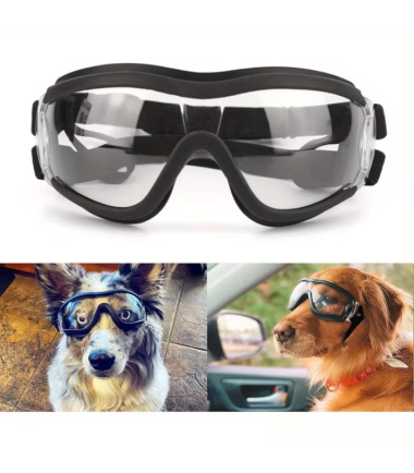 gafas-de-sol-para-perros-costa-rica