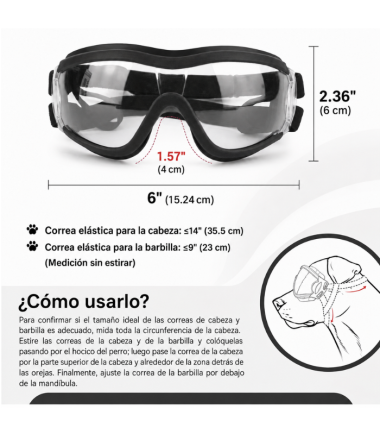 gafas-de-sol-para-perros-costa-rica