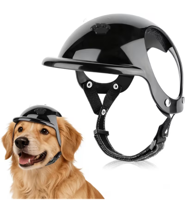 casco-de-moto-perros-costa-rica