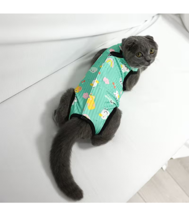 body-post-operatorio-gatos-costa-rica