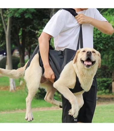 Soporte de movilidad de cuerpo entero para perro Talla XL