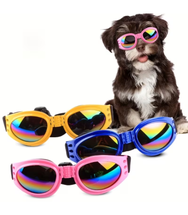 gafas-de-sol-para-perros-costa-rica