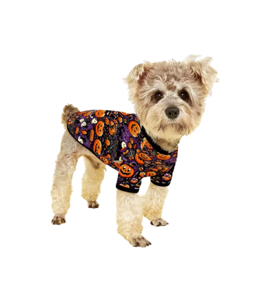 traje-halloween-mascotas-costa-rica