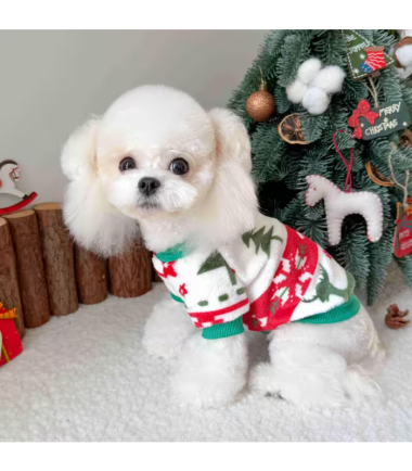 sueta-de-navidad-perros-costa-rica