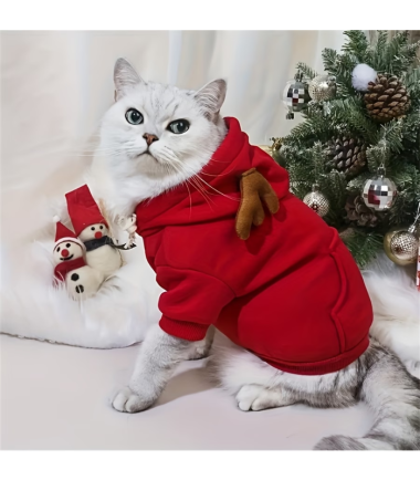 abrigo-de-navidad-perros-gatos-costa-rica