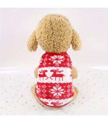 abrigo-navidad-perros-costa-rica