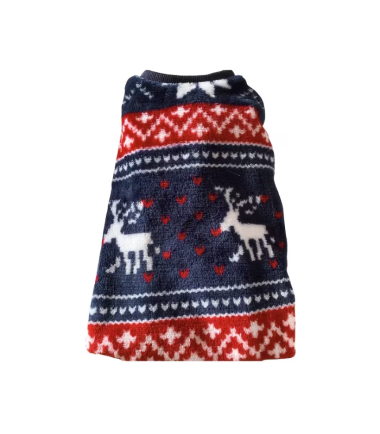 abrigo-de-navidad-perros-costa-rica