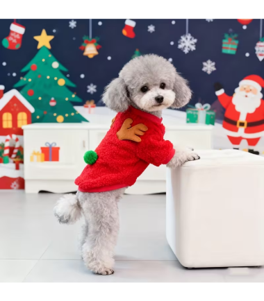abrigo-de-navidad-perros-costa-rica
