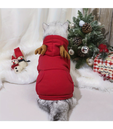 abrigo-de-navidad-perros-gatos-costa-rica