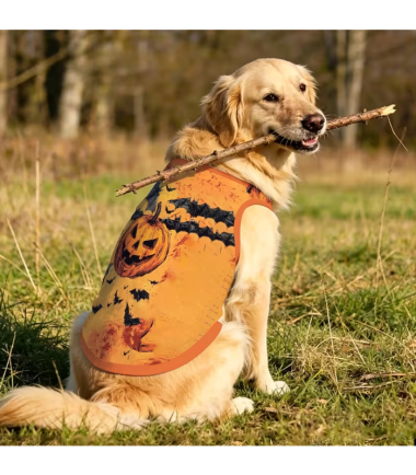 traje-halloween-mascotas-costa-rica