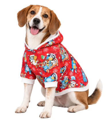 abrigo-de-navidad-perros-gatos-costa-rica