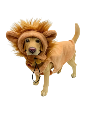 Disfraz-halloween-perros-gatos-costa-rica